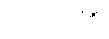 Polaris Media